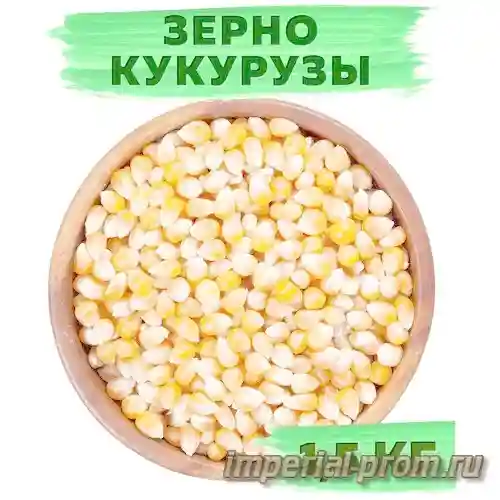 1 кг кукурузы. Зерна кукурузы для попкорна. Кукуруза в пакете для попкорна. Упаковка для кукурузы для попкорна. Сколько получается попкорна из 1 кг кукурузы.