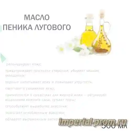 Ломоносов пеники расписание